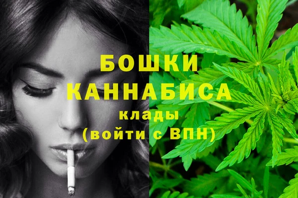 дмт Новозыбков