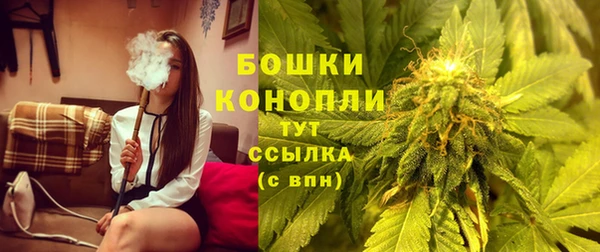 дживик Верея