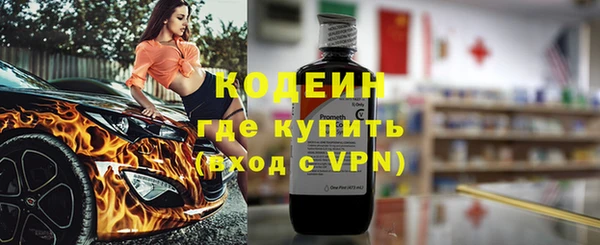индика Михайловск