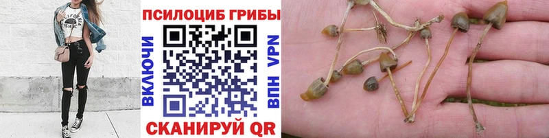 Галлюциногенные грибы мухоморы Емва